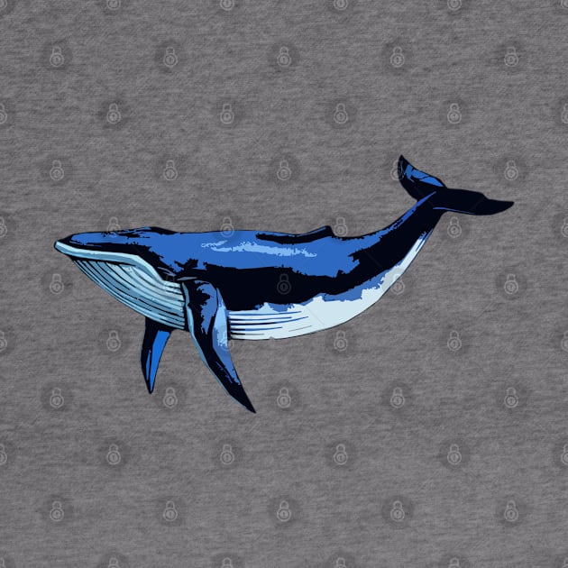 Save the Blue Whale by kancreg